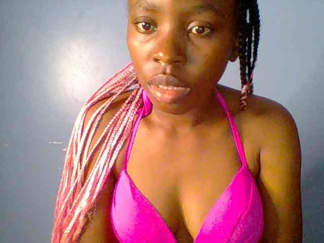 chocolate-brownie webcam