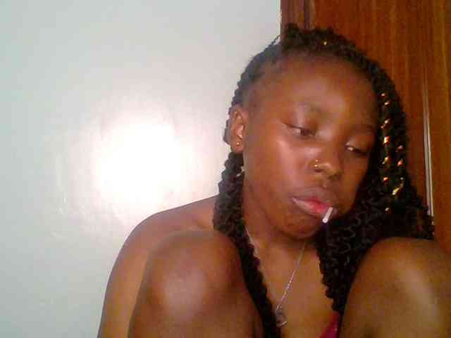 chocolate-brownie webcam