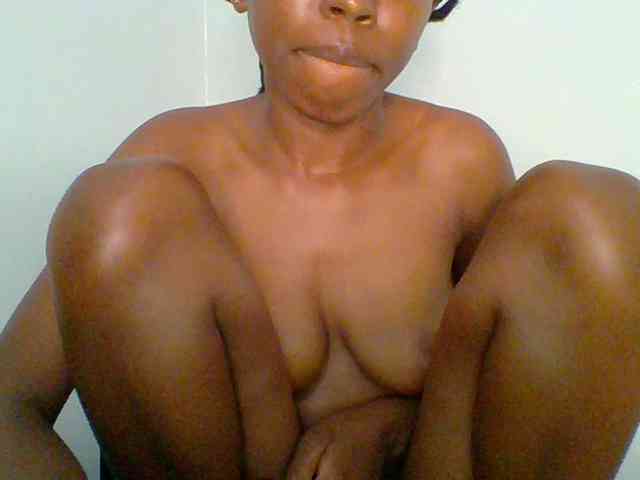 chocolate-brownie webcam