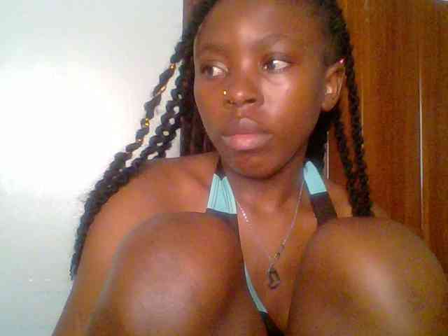 chocolate-brownie webcam