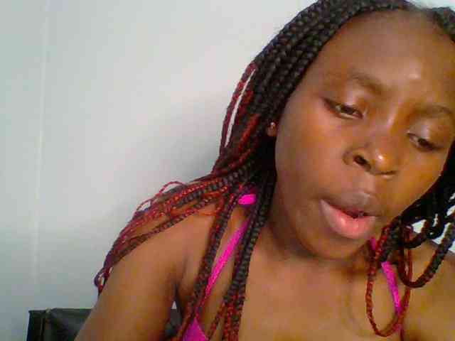 chocolate-brownie webcam