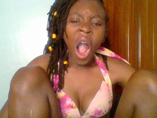 chocolate-brownie webcam