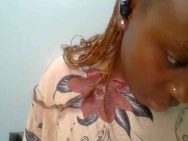 chocolate-brownie webcam