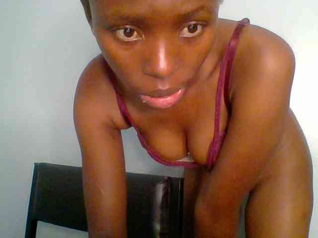 chocolate-brownie webcam