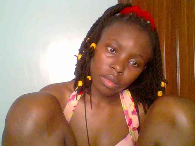 chocolate-brownie webcam