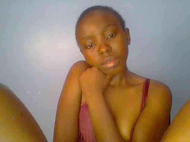 chocolate-brownie webcam