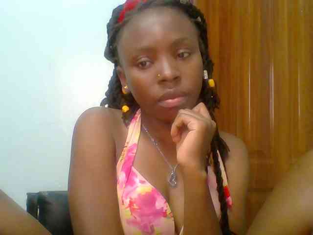 chocolate-brownie webcam