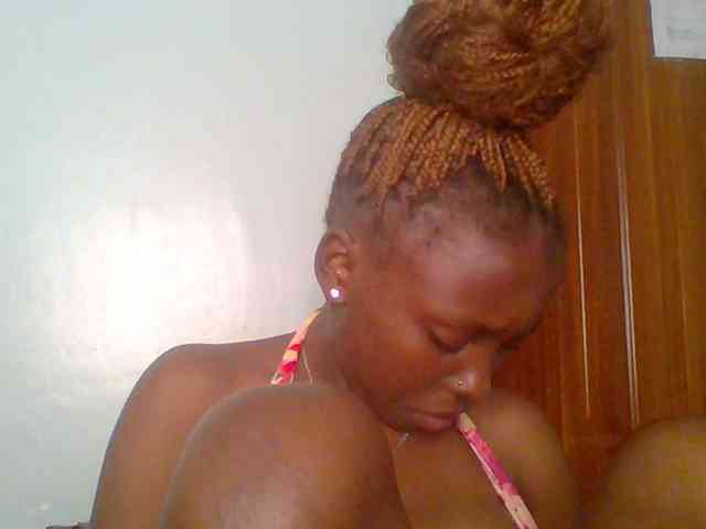 chocolate-brownie webcam