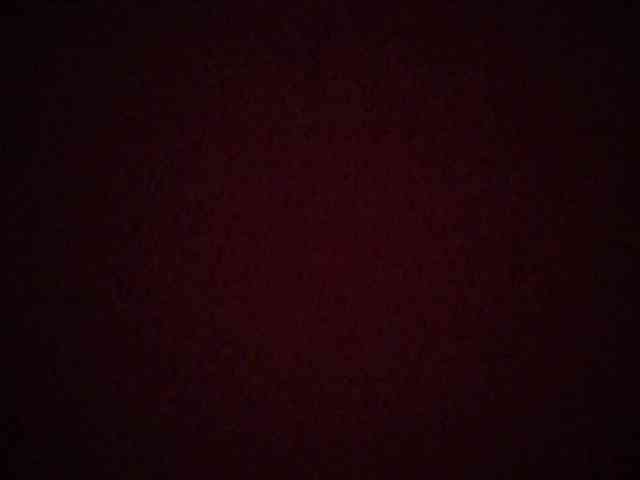 chocolate-brownie webcam