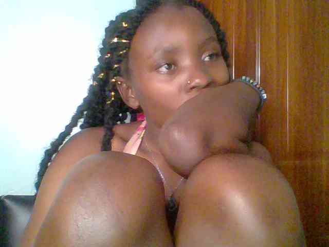 chocolate-brownie webcam