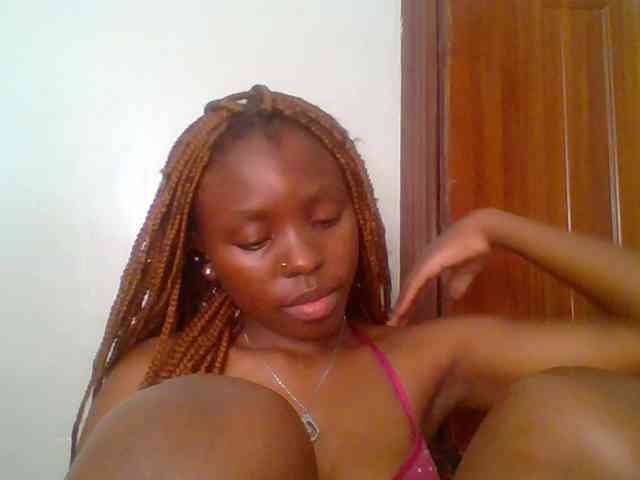 chocolate-brownie webcam