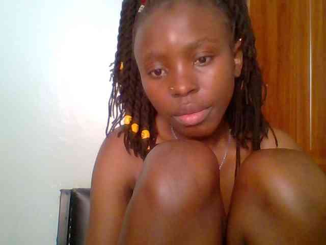 chocolate-brownie webcam