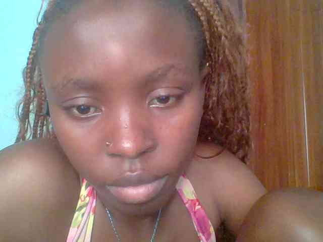 chocolate-brownie webcam