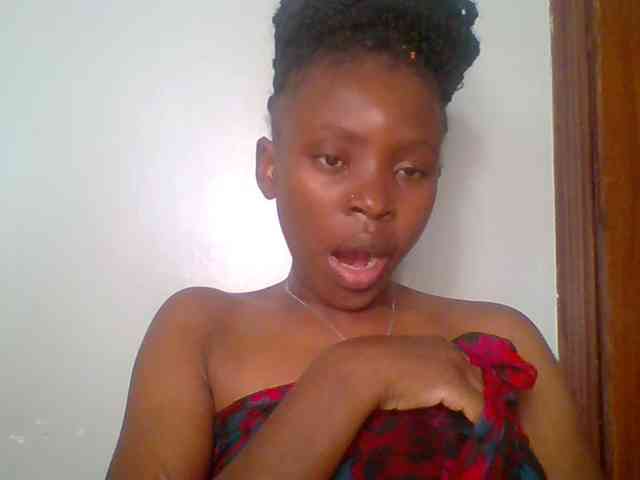 chocolate-brownie webcam