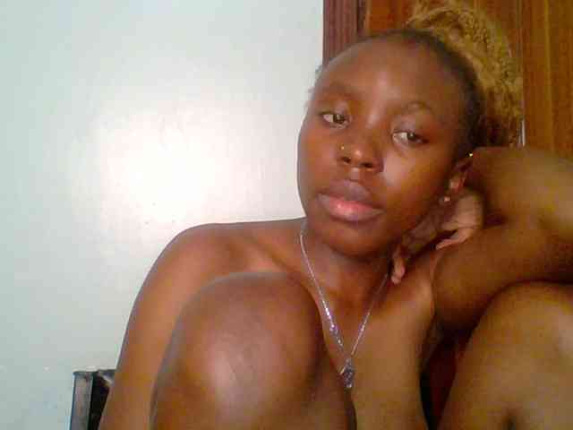 chocolate-brownie webcam