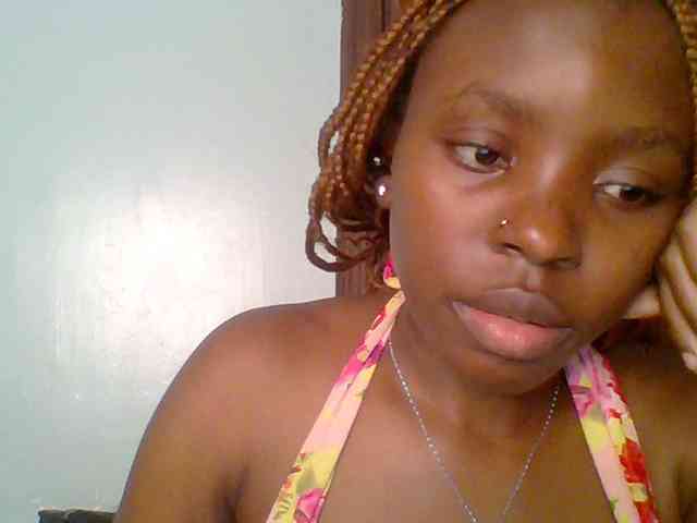 chocolate-brownie webcam