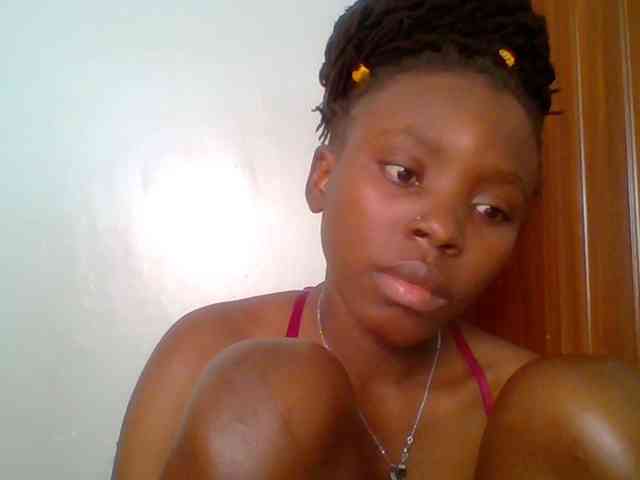 chocolate-brownie webcam