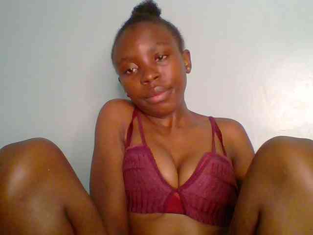 chocolate-brownie webcam