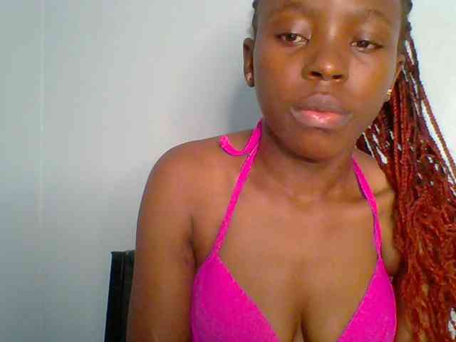 chocolate-brownie webcam