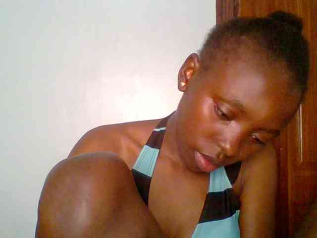 chocolate-brownie webcam