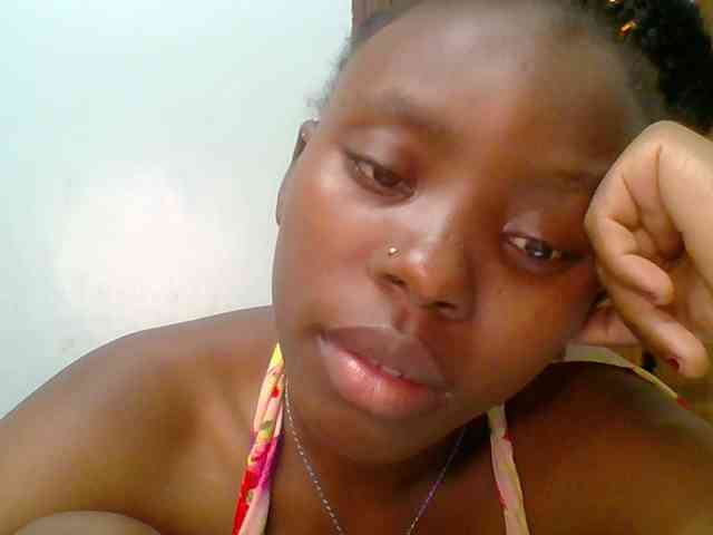 chocolate-brownie webcam