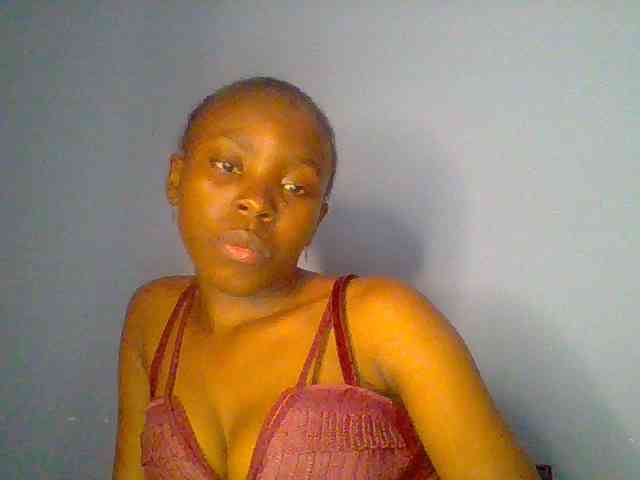 chocolate-brownie webcam