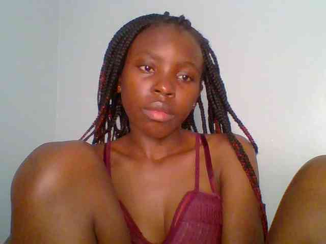 chocolate-brownie webcam