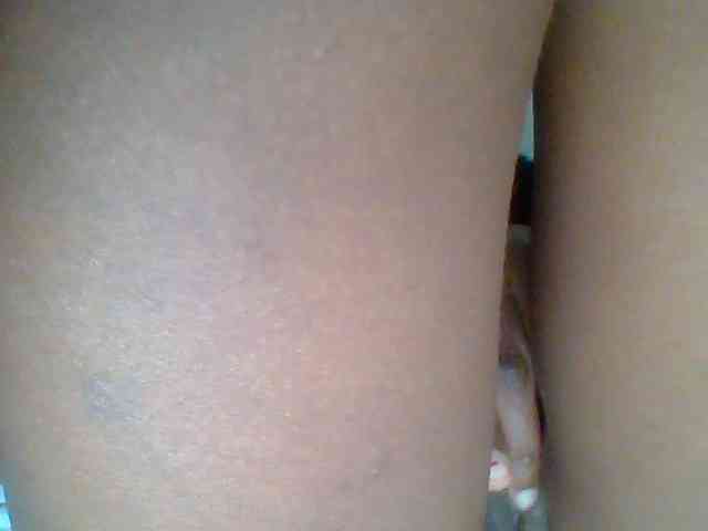 chocolate-brownie webcam