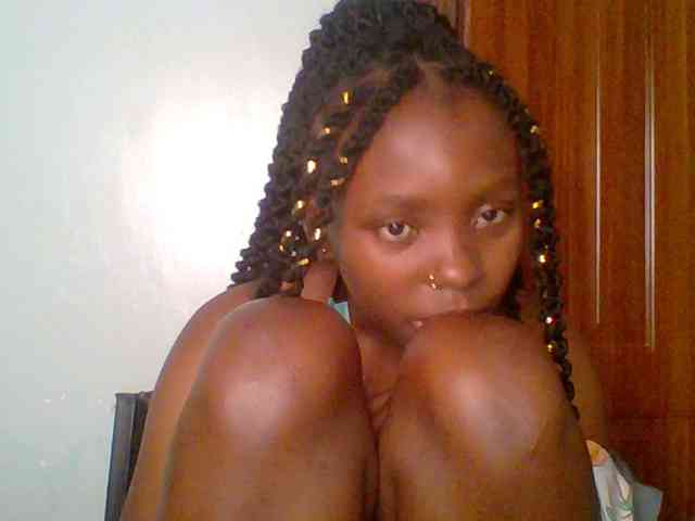 chocolate-brownie webcam