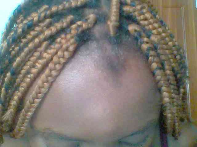 chocolate-brownie webcam