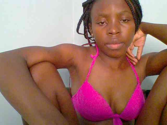 chocolate-brownie webcam