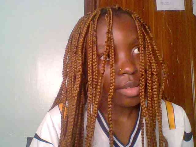 chocolate-brownie webcam