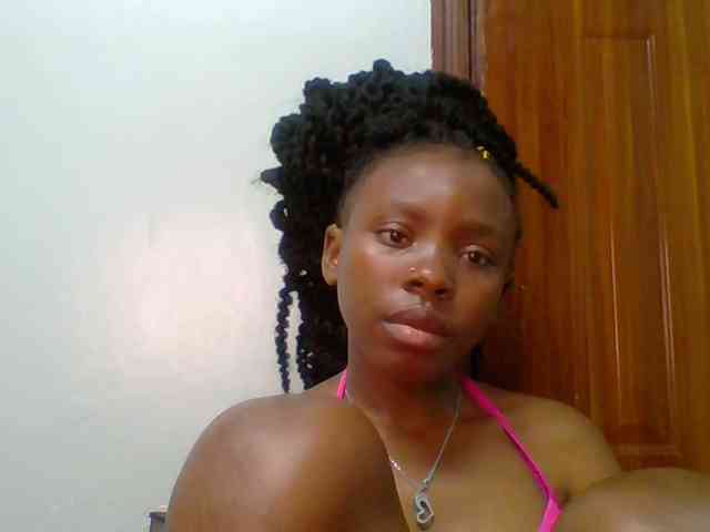 chocolate-brownie webcam