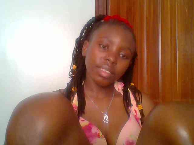 chocolate-brownie webcam