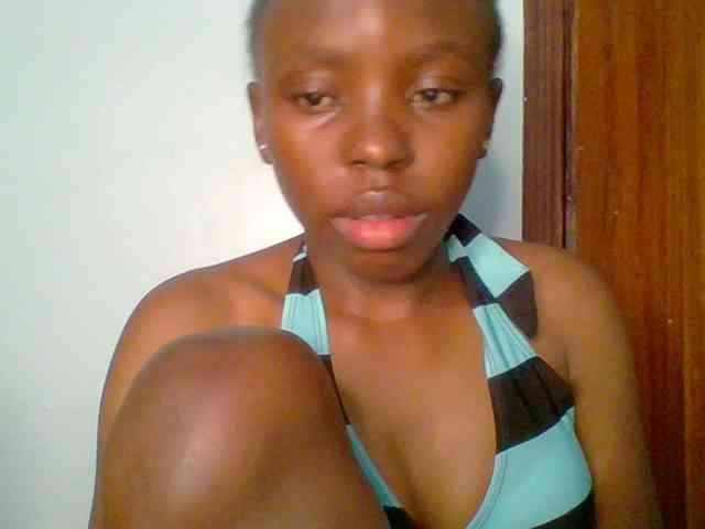 chocolate-brownie webcam