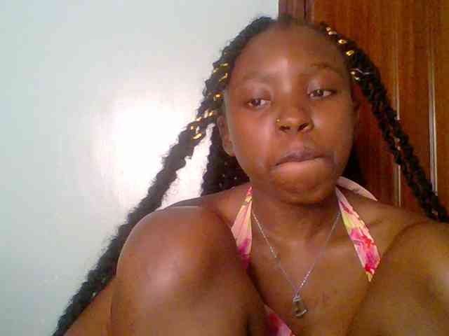 chocolate-brownie webcam