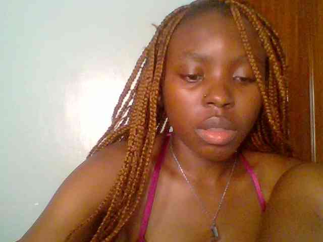 chocolate-brownie webcam