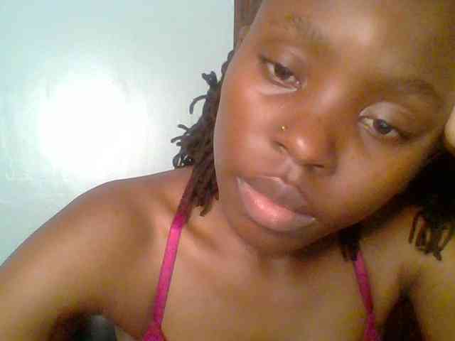 chocolate-brownie webcam