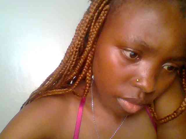 chocolate-brownie webcam