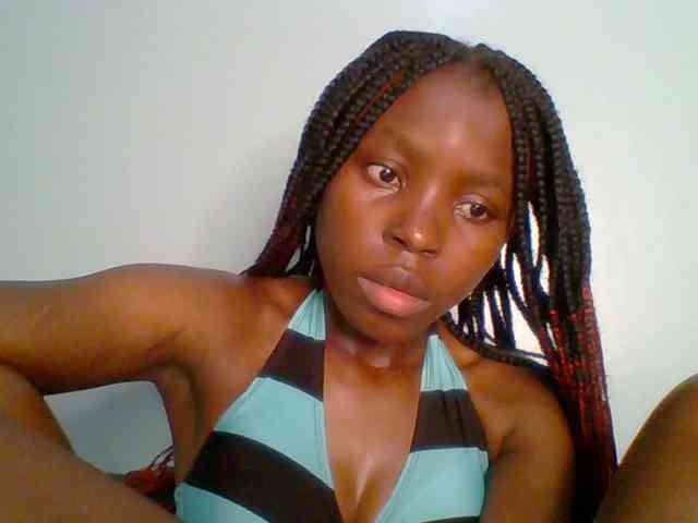 chocolate-brownie webcam