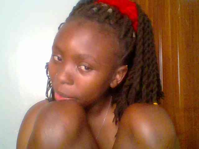 chocolate-brownie webcam