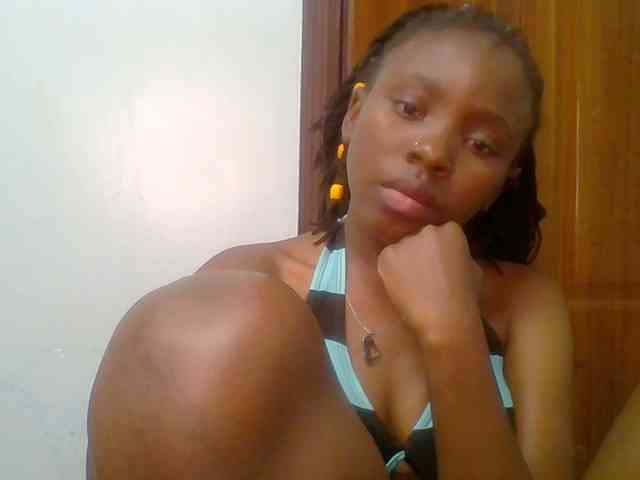 chocolate-brownie webcam