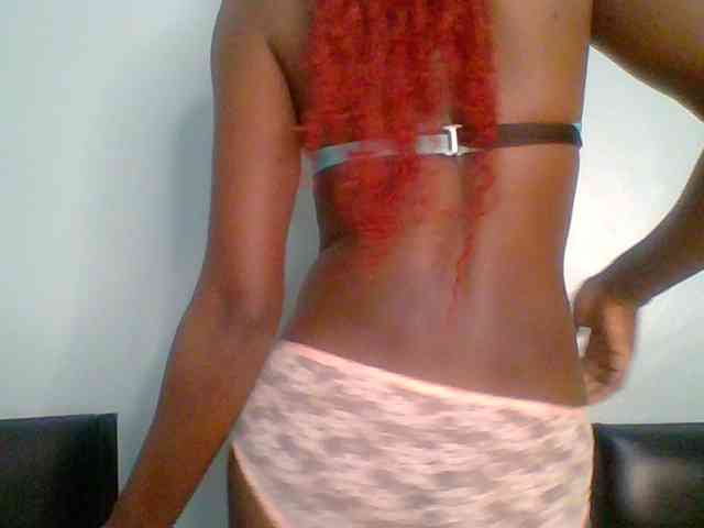 chocolate-brownie webcam