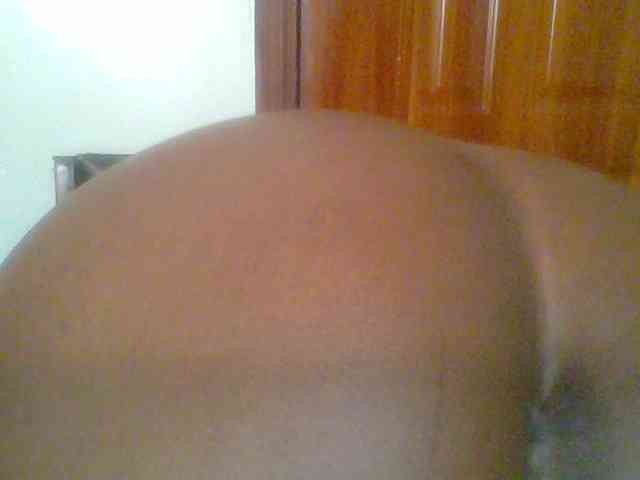 chocolate-brownie webcam