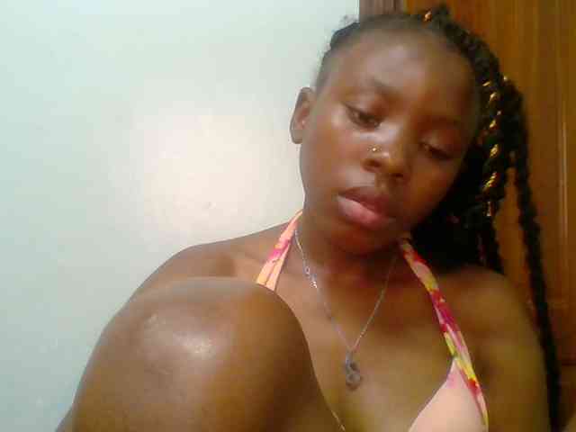 chocolate-brownie webcam