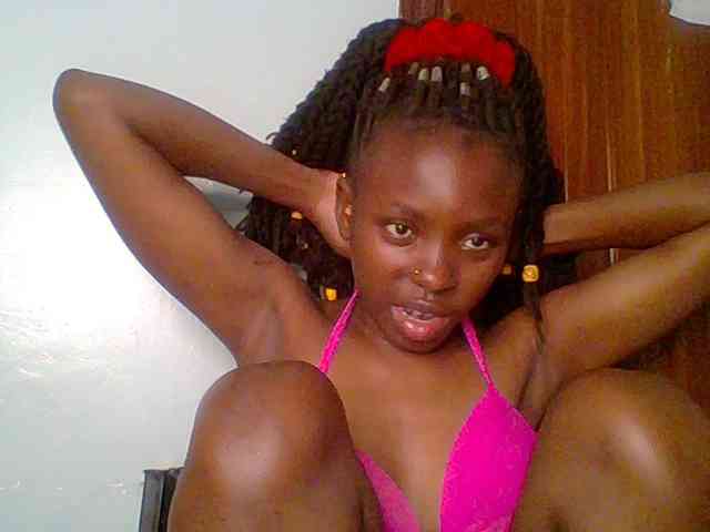 chocolate-brownie webcam