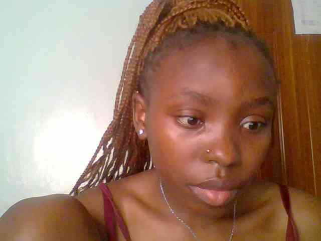 chocolate-brownie webcam