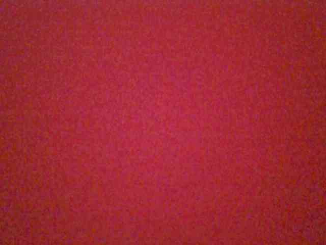 chocolate-brownie webcam