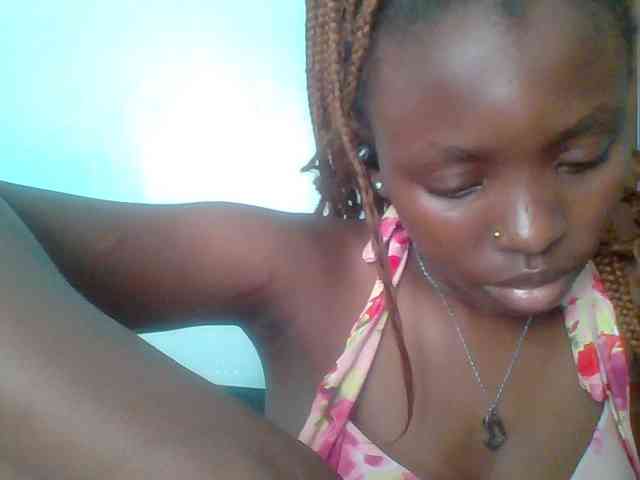 chocolate-brownie webcam