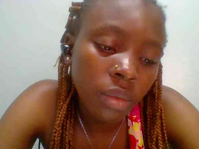 chocolate-brownie webcam